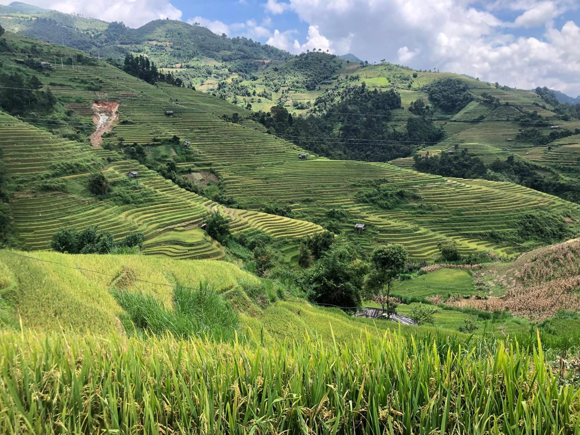 Do Gu Homestay Mu Cang Chai Kültér fotó
