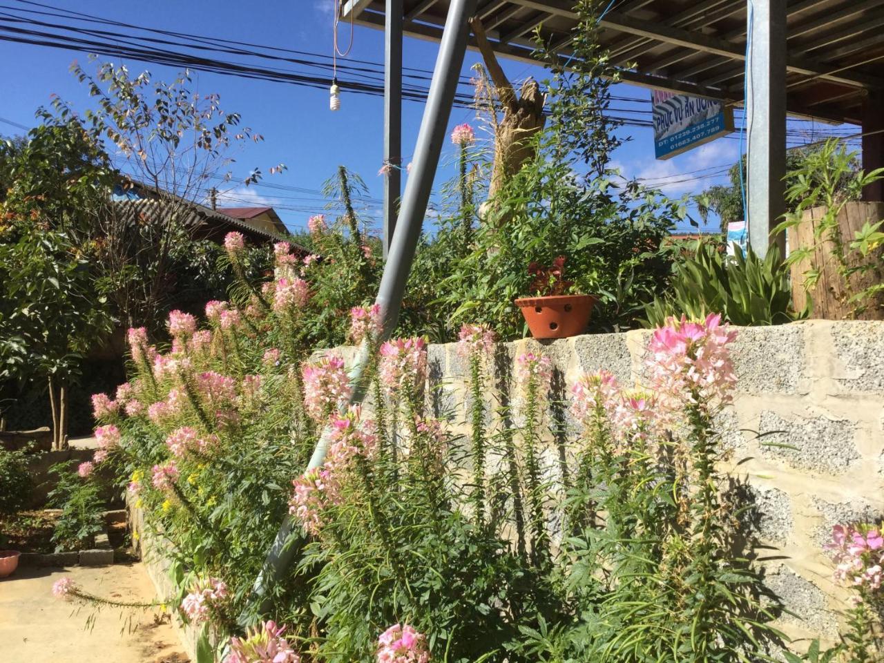 Do Gu Homestay Mu Cang Chai Kültér fotó
