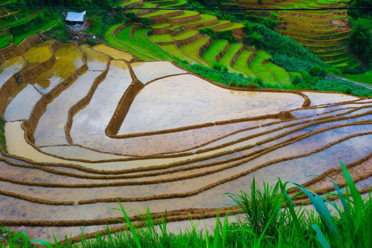 Do Gu Homestay Mu Cang Chai Kültér fotó